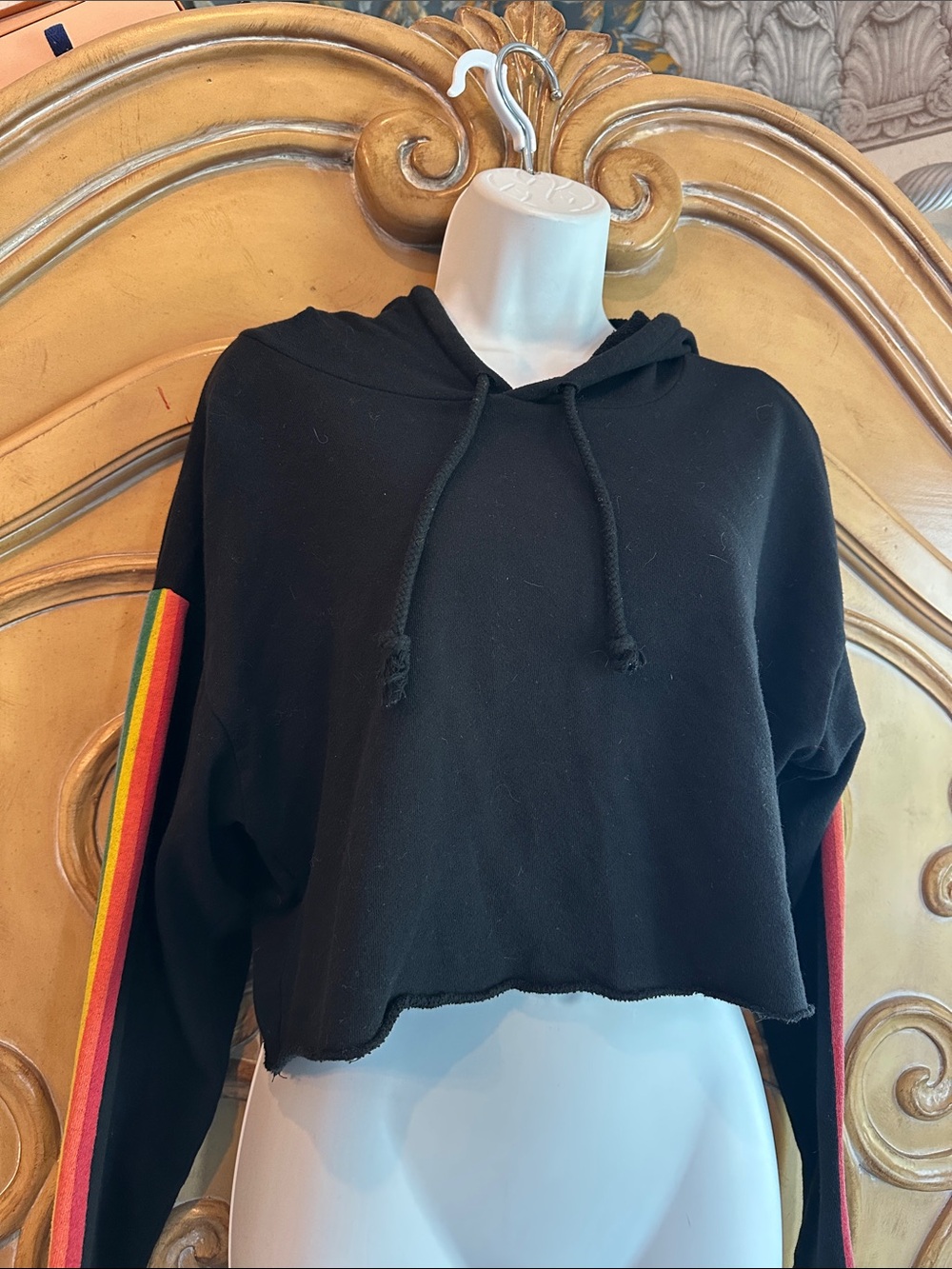 Black Cropped Hoodie with Rainbow Stripe Sleeves
